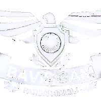 Bavish Gam Patidar Samaj